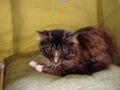 dsc03175.jpg