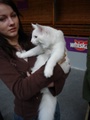 dsc03178.jpg