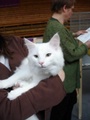 dsc03180.jpg