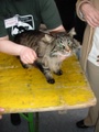 dsc03184.jpg
