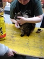 dsc03185.jpg