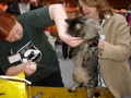 dsc03189.jpg