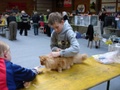dsc03191.jpg