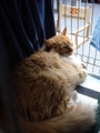 dsc03196.jpg
