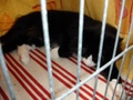 dsc03197.jpg