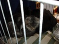 dsc03198.jpg