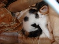 dsc03199.jpg