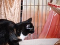 dsc03200.jpg
