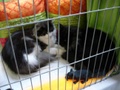 dsc03205.jpg