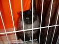 dsc03209.jpg