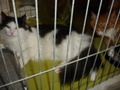 dsc03210.jpg