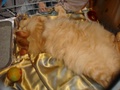 dsc03212.jpg