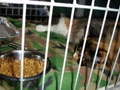 dsc03214.jpg