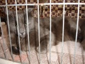 dsc03215.jpg