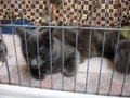 dsc03216.jpg