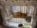 dsc03218.jpg