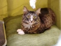dsc03220.jpg