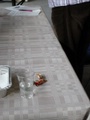 dsc03226.jpg