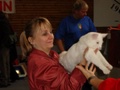 dsc03237.jpg