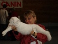 dsc03238.jpg