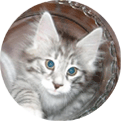 Pavarotti